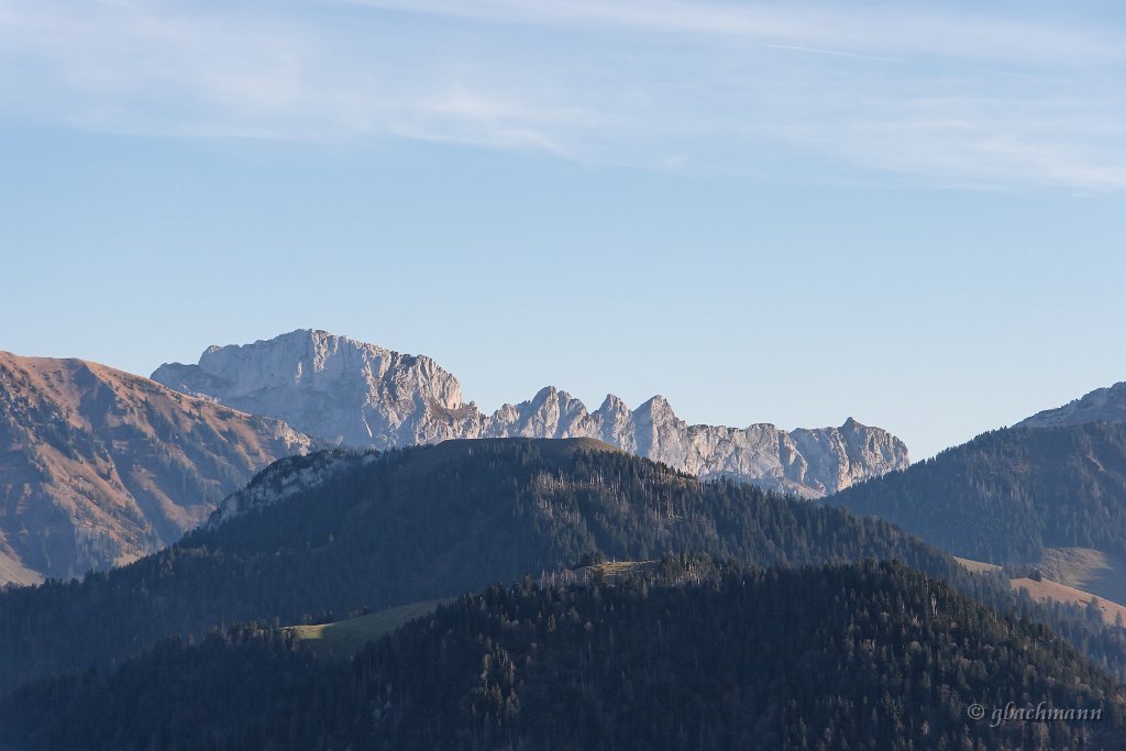 20081026_264